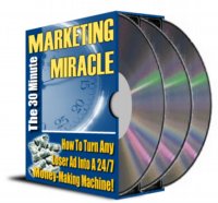 The 30 Minute Marketing Miracle